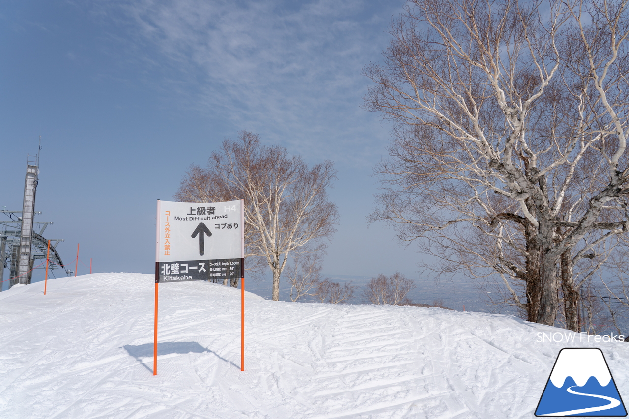 サッポロテイネ｜ハイランドゾーン山頂の積雪は 360cm。5月5日（祝）までの土･日･祝限定で、特別春スキー営業中(^^)/